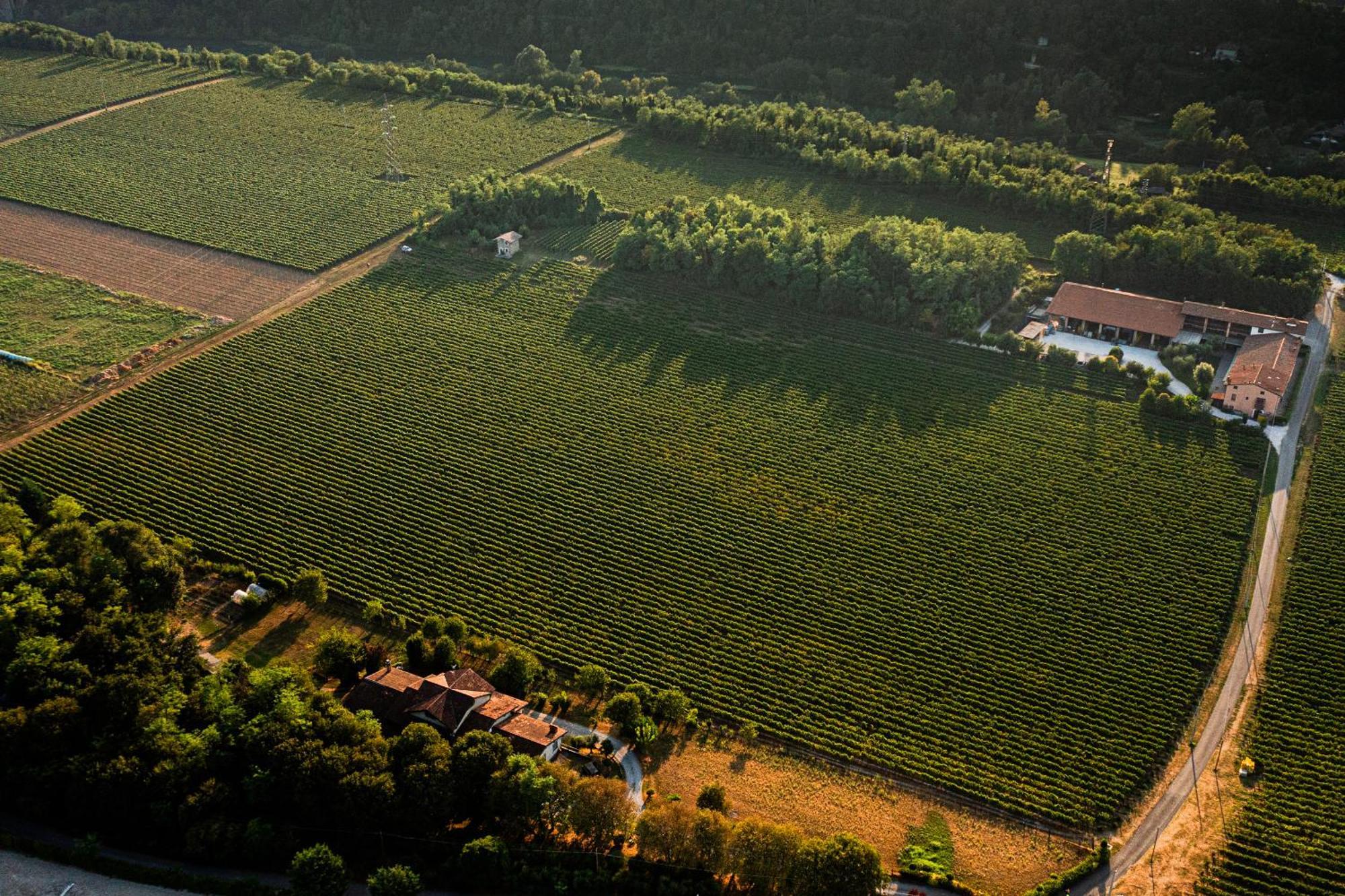 Agriturismo Ripa Del Bosco Capriolo Экстерьер фото
