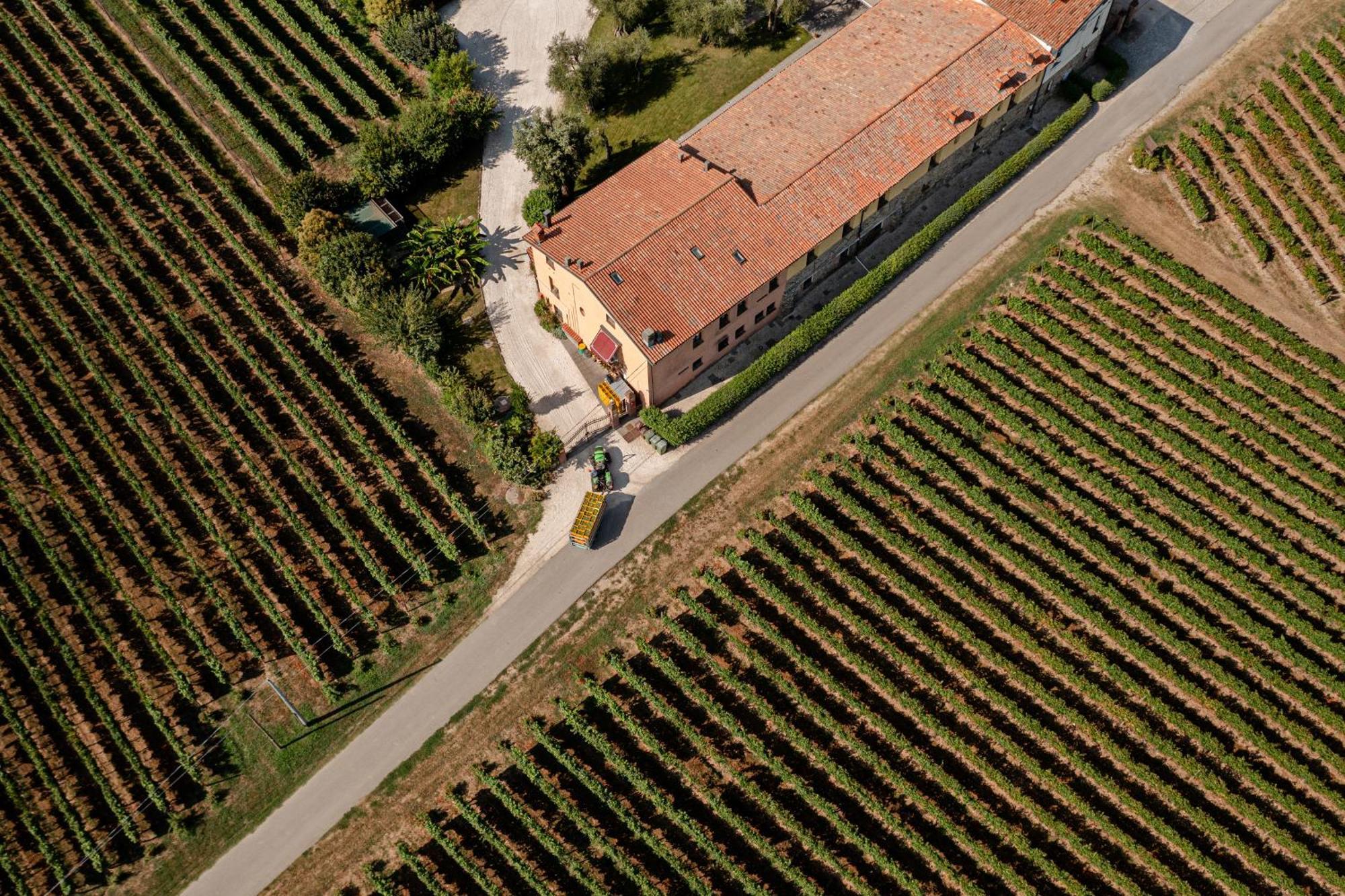 Agriturismo Ripa Del Bosco Capriolo Экстерьер фото