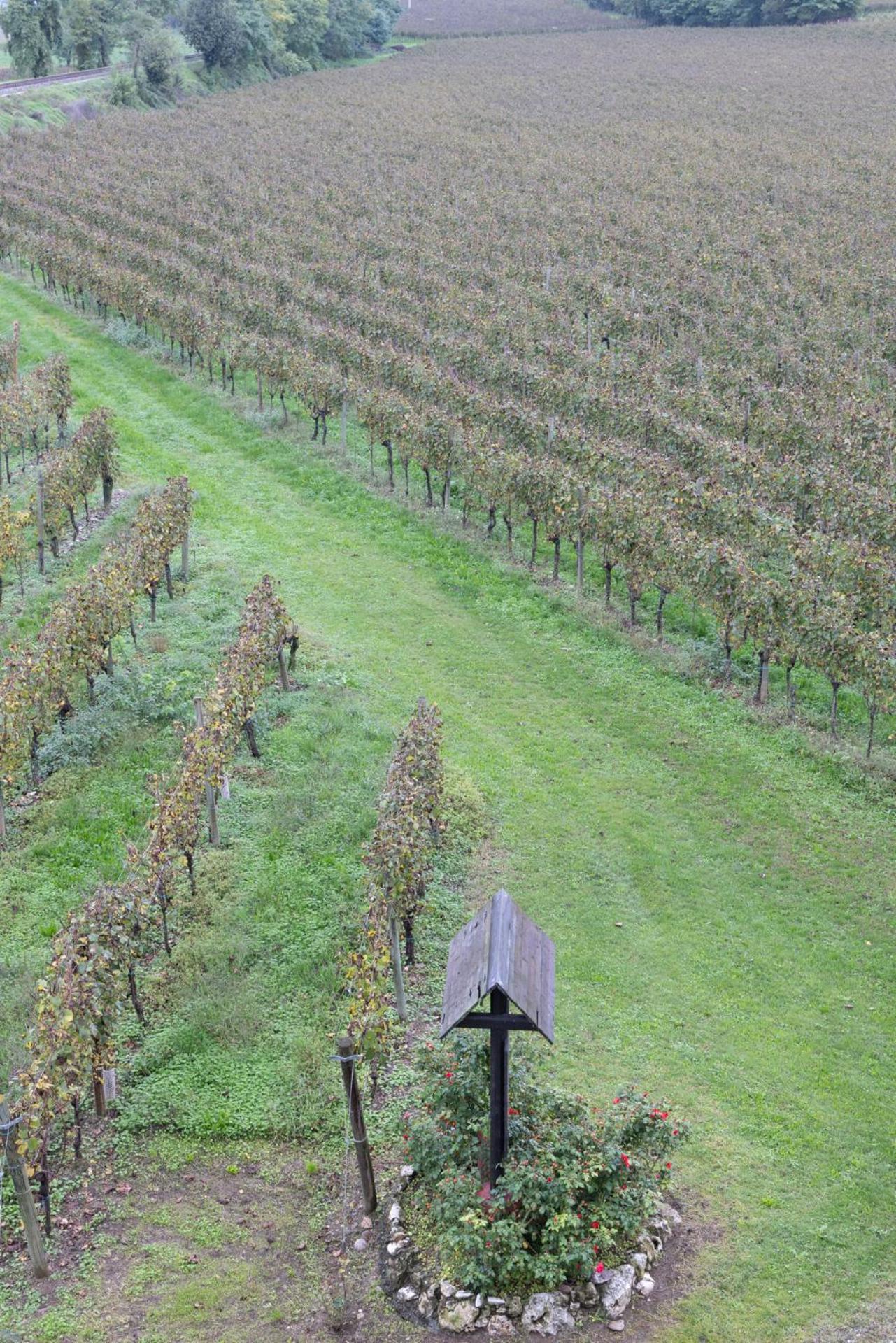 Agriturismo Ripa Del Bosco Capriolo Экстерьер фото