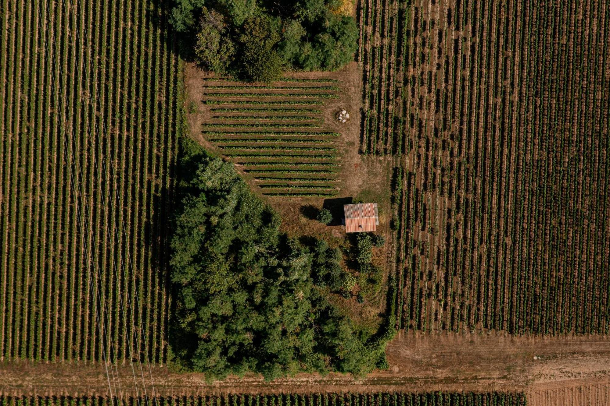 Agriturismo Ripa Del Bosco Capriolo Экстерьер фото